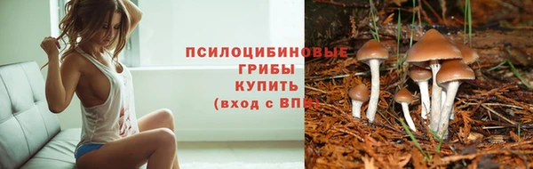 прущая мука Армянск