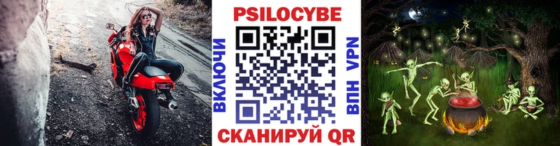 Псилоцибиновые грибы Cubensis как найти закладки Магас