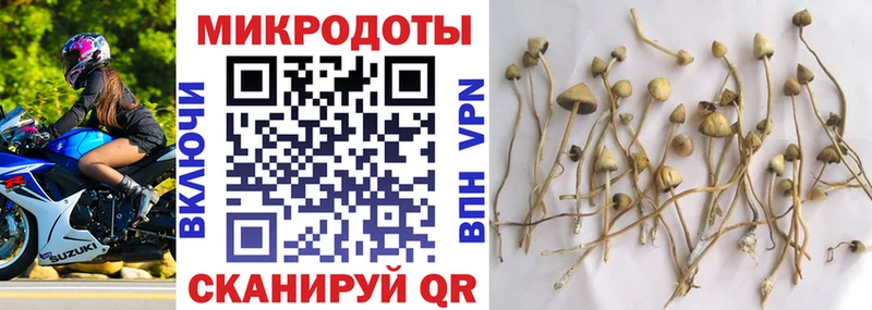 Псилоцибиновые грибы Magic Shrooms Магас